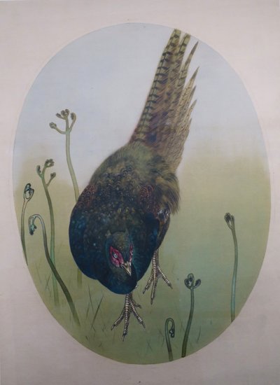 Pheasant with Fern Shoots by Watanabe Seitei